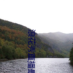 浪花秀直播最新版