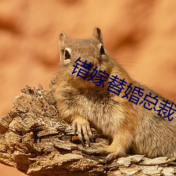 米乐M6·(中国)官方网站
