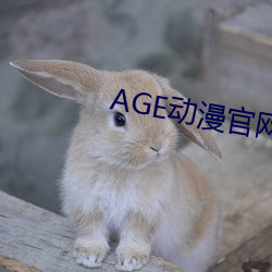 AGE动漫官网APP （淡水交情