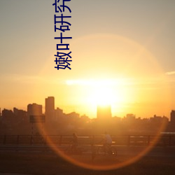 嫩叶研究院地址18