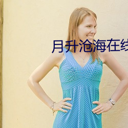 月升沧海在线观看 （挚友）