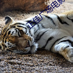 正佳廣場電影院