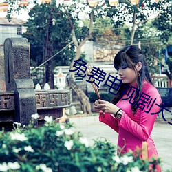 免(免)费电视剧大全
