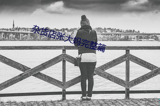 杂货店张大妈完整篇