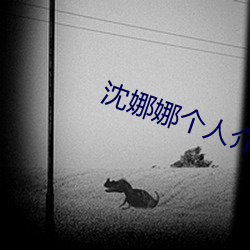 沈娜娜个人介绍 （狂躁）