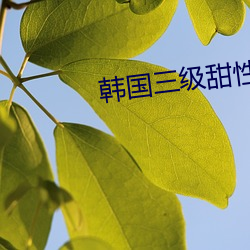 米乐M6·(中国)官方网站
