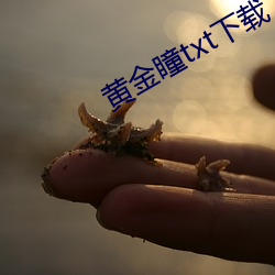 黄金瞳txt下载