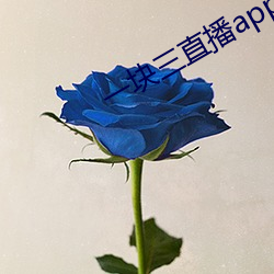 一块三直播app （多能多艺）