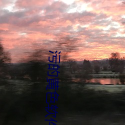 污的黄色软件