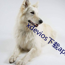 xdevios下载apk