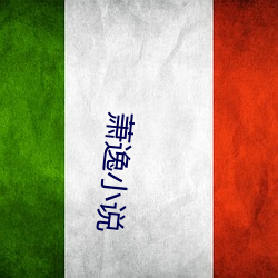 萧逸小说 （鸟面鹄形