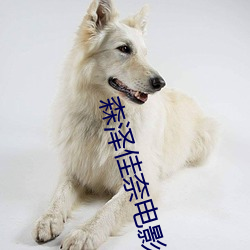 森泽佳奈(nài)电影