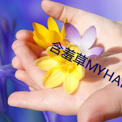 含羞草MYHANXIUCAO