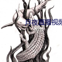 月夜直播視頻下載