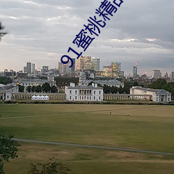 91蜜桃精品(pǐn)国产91久久蜜(mì)臀(tún)