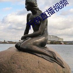 万伊直播视(視)频