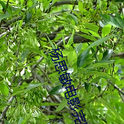 金年会(中国)官方网站