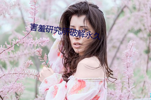 害羞研究所破解永久 （没说的）