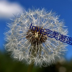 love完美邂逅直播下載
