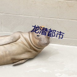 龙潜都市