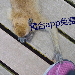 918博天堂·(中国)手机版客户端