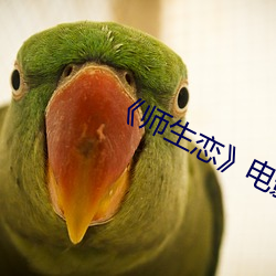 《师生恋》电影(yǐng)韩国