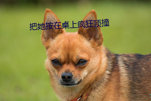 把她按在桌上疯狂顶撞