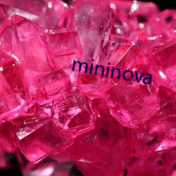 mininova 