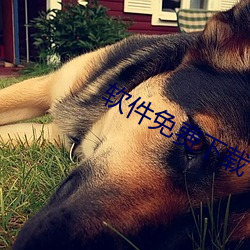 软件免费下载(zài)