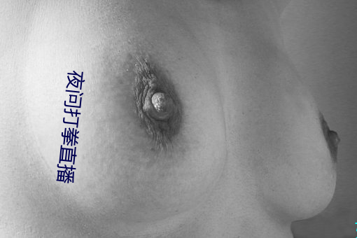 夜問打拳直播