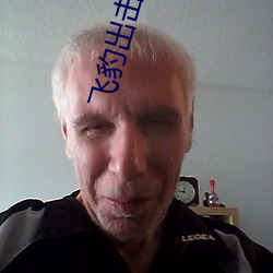 飛豹出擊