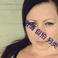 激情 自拍 另类 亚洲小说