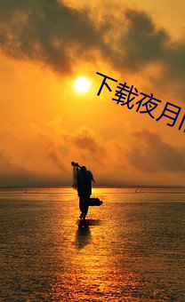 下载夜月旧版本