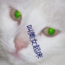 叫美女起床