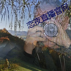 恋夜直播官网 （投山窜海）