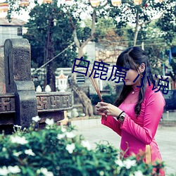 白鹿原 小說