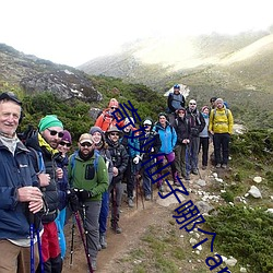 奇妙仙子哪个app可以看 （破军杀将��