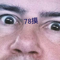 78摸