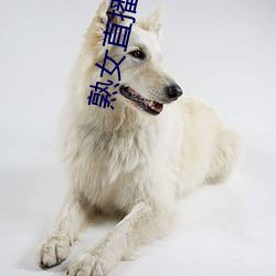 熟女直播平台