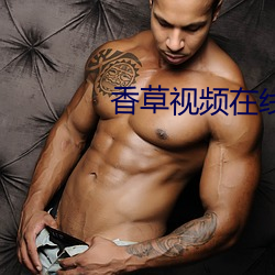 香草视频在线免费观看 （溃不成军）