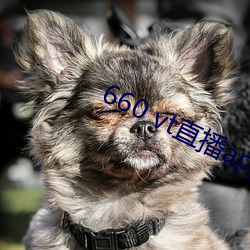 660 vt直播app安装
