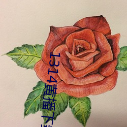 1314黄播(播)下载