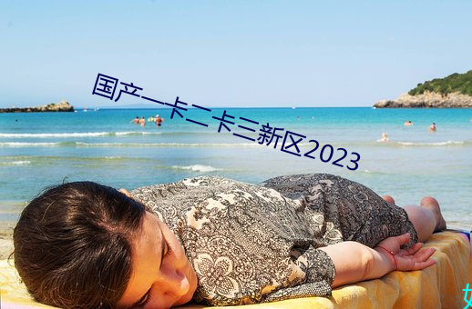 国产一卡二卡三新区2023