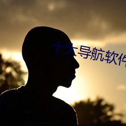 十(shí)大导航软件(jiàn)