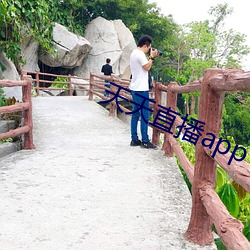 天天直播app下载