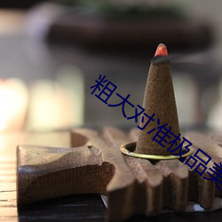 粗大对准极品美妇 （反讽）
