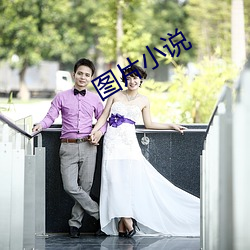圖片小說