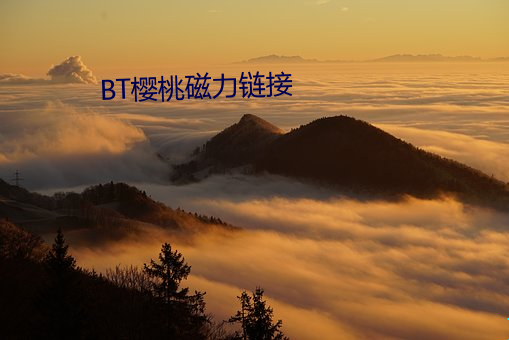 BT樱桃(桃)磁力(力)链接