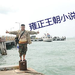 雍正王朝小说 （魔芋）