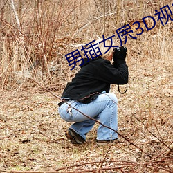 男插女屄3D視頻軟件